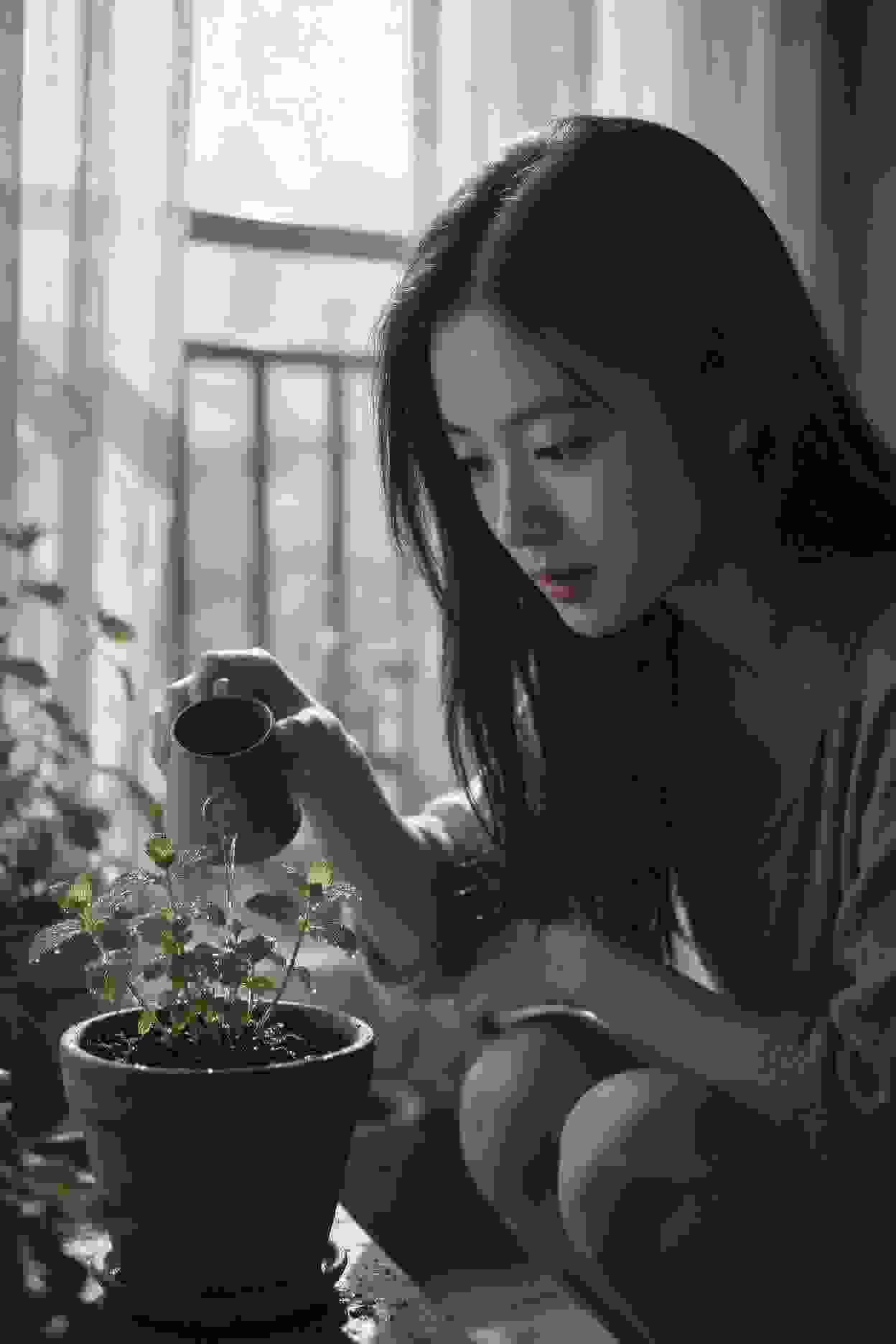 治愈物语
